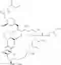 Fig. 07 - Method and composition useful for determining FK 506