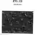 Fig. 03 - Method for crystallizing amorphous silicon film