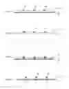 Fig. 09 - Method for manufacturing conductive pattern forming body