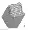 Fig. 02 - Resilient and colored bath sponge