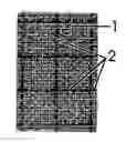 Fig. 01 - Fabric for embroidering with removable delimitation
