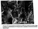 Fig. 04 - Fiber reinforced mineral-based materials and methods of making the same