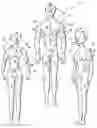 Fig. 01 - Doll with angled and jointed torso