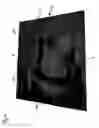 Fig. 07 - Operating element