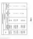 Fig. 07 - Frame format for high data throughput wireless local area network transmissions