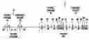 Fig. 01 - Method for categorization of multiple providers in a wireless communications service environment