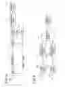 Fig. 07 - Reception apparatus