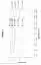 Fig. 03 - Multiple flex shaft system for golf clubs