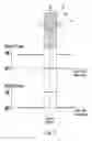 Fig. 09 - Actuator for shift-by-wire automatic transmission system