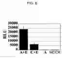 Fig. 07 - Drug for regenerating tissue and vessel and method therefor