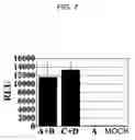 Fig. 08 - Drug for regenerating tissue and vessel and method therefor