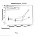 Fig. 06 - Medical uses of intercellular communication facilitating compounds