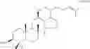 Fig. 06 - Process for producing dammarane sapogenins and ginsenosides