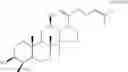Fig. 08 - Process for producing dammarane sapogenins and ginsenosides