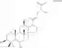 Fig. 09 - Process for producing dammarane sapogenins and ginsenosides