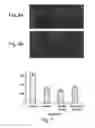 Fig. 05 - Methods of and compositions for inhibiting the proliferation of mammalian cells