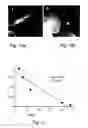 Fig. 07 - Methods of and compositions for inhibiting the proliferation of mammalian cells