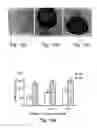 Fig. 08 - Methods of and compositions for inhibiting the proliferation of mammalian cells