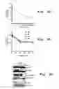 Fig. 06 - Method and antisense compound for potentiating anti-cancer agents