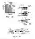 Fig. 09 - Method and antisense compound for potentiating anti-cancer agents