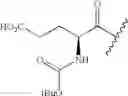 Fig. 121 - Compounds and methods for treating Toll-like receptor 2-related diseases and conditions