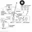Fig. 01 - Inhibitors of cathepsin S