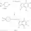 Fig. 09 - Muscarinic agonists