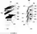 Fig. 03 - Composites with oriented particles and particle networks with method