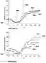 Fig. 07 - Composites with oriented particles and particle networks with method