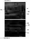Fig. 08 - Composites with oriented particles and particle networks with method