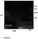 Fig. 09 - Composites with oriented particles and particle networks with method