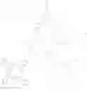 Fig. 10 - Hyperbranched polymers