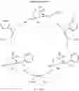 Fig. 02 - Process for dehalogenative hydrogenation of aromatic polyhalides with isopropyl alcohol as a hydrogen source