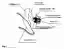 Fig. 03 - Implantable converter for cochlea implants and implantable hearing aids