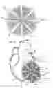 Fig. 05 - Heart support to prevent ventricular remodeling