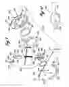 Fig. 05 - Remote psychological evaluation