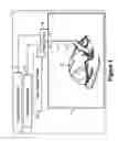 Fig. 02 - Combined PET/MRI scanner