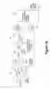 Fig. 20 - Combined PET/MRI scanner