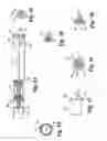 Fig. 09 - Biopsy apparatus