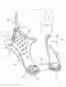 Fig. 01 - Cervical support system