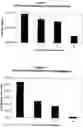Fig. 02 - Biocompatible pharmaceutical articles