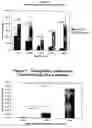 Fig. 07 - Biocompatible pharmaceutical articles