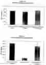 Fig. 08 - Biocompatible pharmaceutical articles