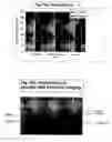 Fig. 09 - Biocompatible pharmaceutical articles