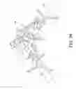 Fig. 35 - Surgical navigation systems and processes for unicompartmental knee arthroplasty