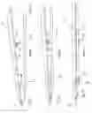 Fig. 06 - Surgical instrument with improved handle assembly