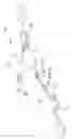 Fig. 09 - Surgical instrument with improved handle assembly