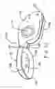 Fig. 06 - Forceps and collection assembly and related methods of use and manufacture