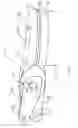 Fig. 08 - Forceps and collection assembly and related methods of use and manufacture