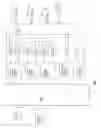 Fig. 02 - Dynamic blanking and recharge intervals for cardiac rhythm management